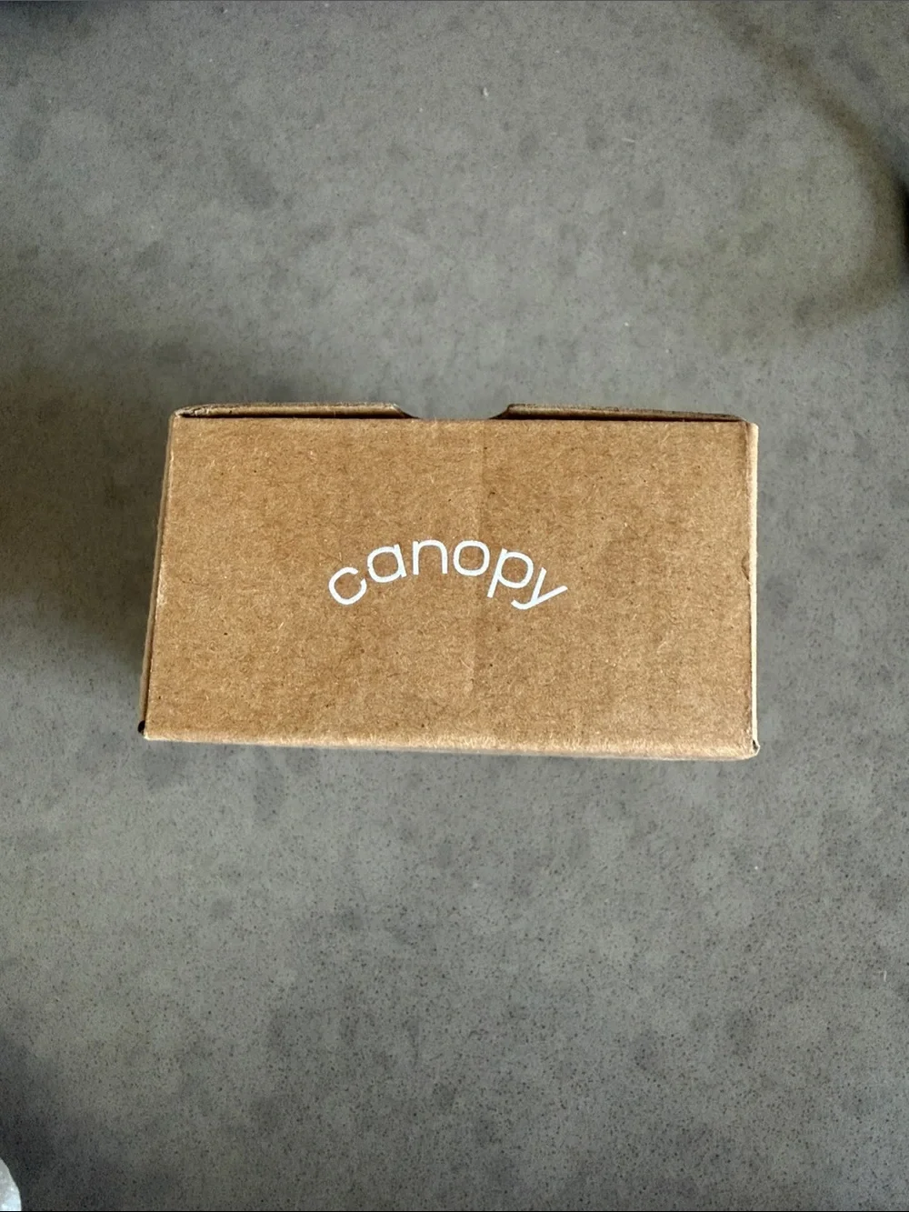 Canopy Showerhead Filter